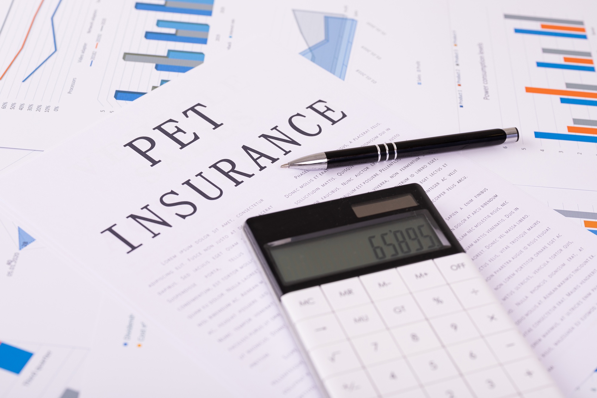 pet insurance concept, documents on the desktop